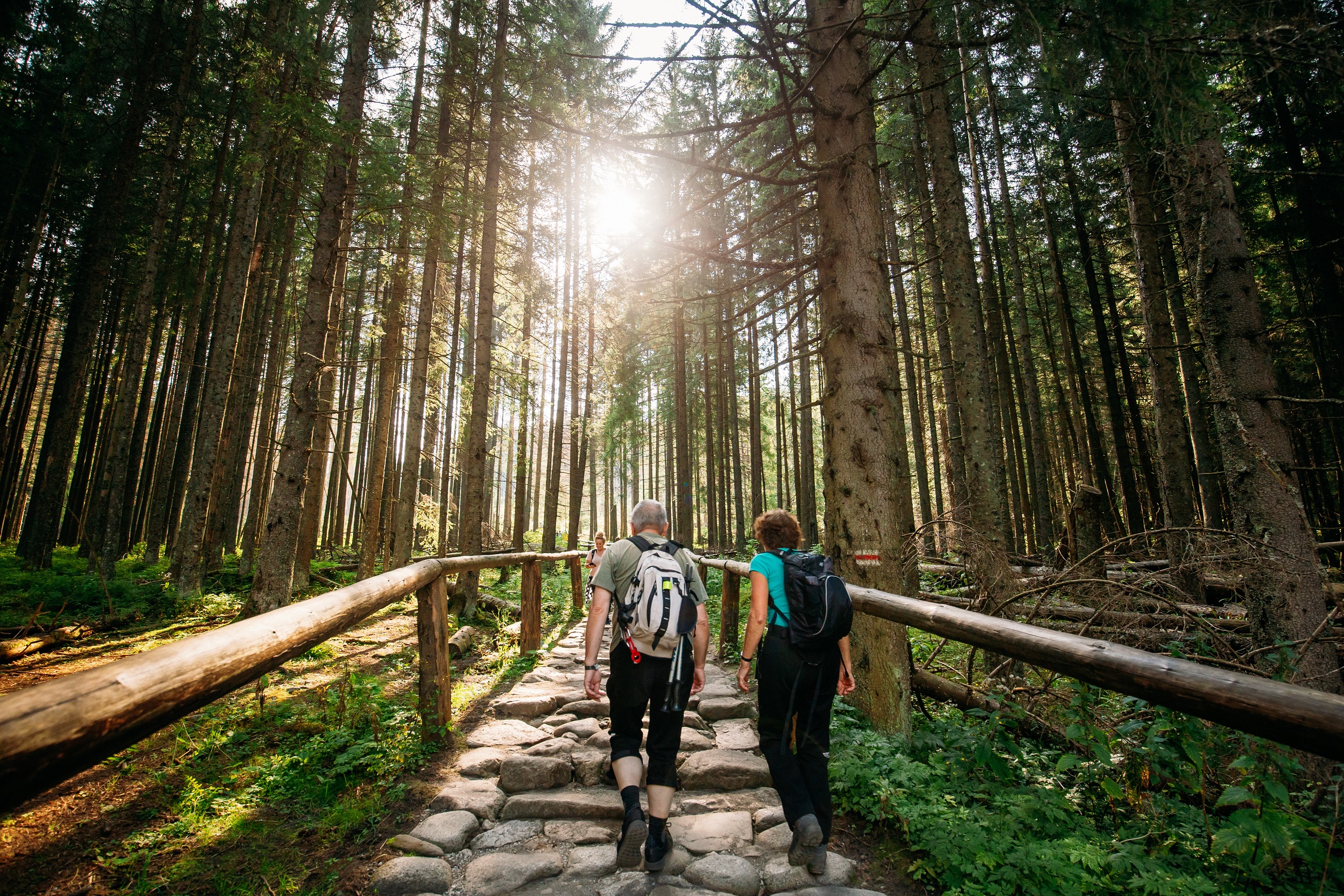 zdroj: bigstockphoto.com